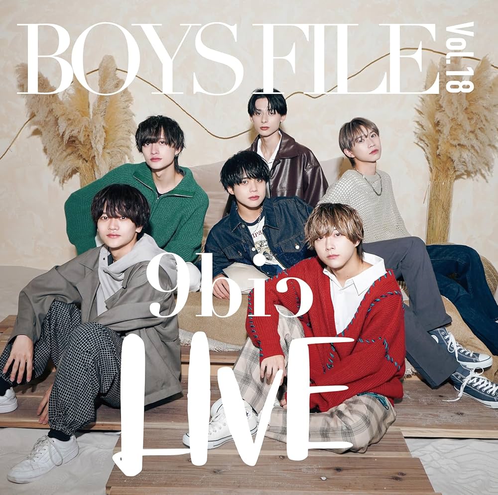 アイドルグッズ BOYS FILE 76325-2.jpg